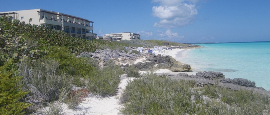 Vista hoteles en primera línea de playa